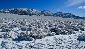 Snow in the mountains, Snow-covered mountain pass, desert plants under the snow in summer photo