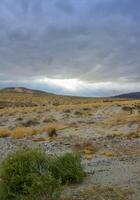 Stone valley overgrown with desert vegetation and cacti on a cloudy day, Mountains in the background, CA photo