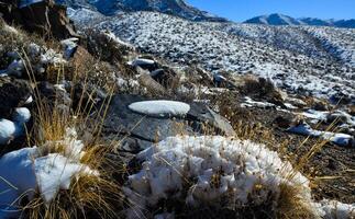 Snow in the mountains, Snow-covered mountain pass, desert plants under the snow in summer photo