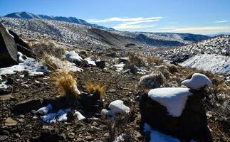 Snow in the mountains, Snow-covered mountain pass, desert plants under the snow in summer photo