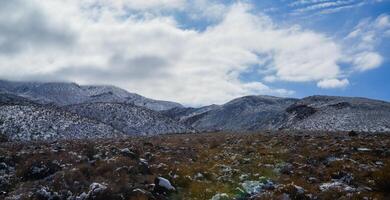 Snow in the mountains, Snow-covered mountain pass, desert plants under the snow in summer photo