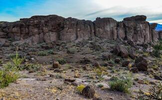 Desert landscape with cacti, Mountain erosion formations of red mountain sandstones photo