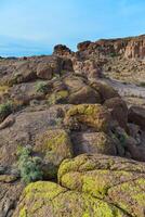 Yellow lichens on stones in a mountain desert in Arizona photo