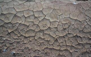 Cracked red clay and white salt on the surface in a dried riverbed in the desert of New Mexico, USA photo