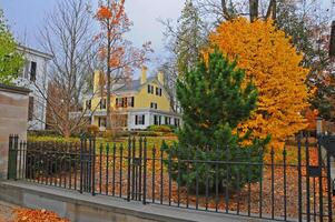 PRINCETON, NJ -15 NOVEMBER 2011 Princeton University is a Private Ivy League University in New Jersey, USA photo