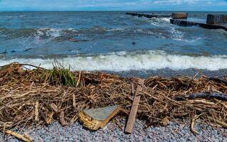 Consequences of the Accident at the Kakhovka power plant, pollution of the beaches of Odessa with garbage and plant remains brought by water photo