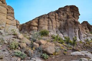 Agava, Yucca and Cacti in a Red Cliffs Mountain Landscape in California photo