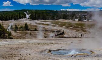 Boiling water bubbler Geyser. Active geyser with major eruptions. Yellowstone NP, Wyoming, US photo