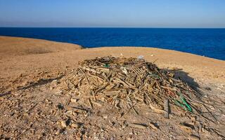 A large eagle nest built from debris and branches on the shore of an island photo