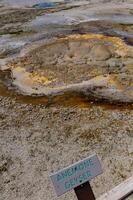 Boiling water bubbler Geyser. Active geyser with major eruptions. Yellowstone NP, Wyoming, US photo