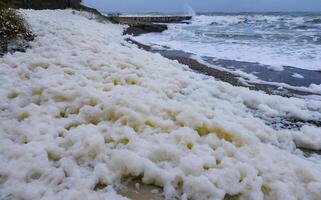 Eutrophication of the sea, Dirty foam on the Black Sea during a storm near the city of Odessa photo