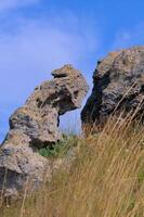 A rocky landscape on the Kazantip, a steppe landscape in the eastern Crimea photo