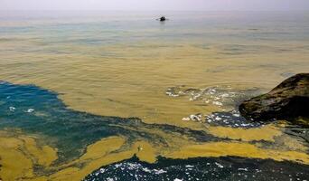 Page 9 | Algal Bloom Stock Photos, Images and Backgrounds for Free Download
