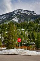 Closed road after snowfall in Yellowstone National Park photo