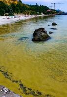 Nodularia spumigena, ecological disaster, a toxic blue-green algae bloom in the Black Sea photo