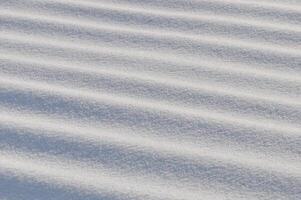 Snow lies in waves in a cold snowy winter, the play of light in straight lines photo