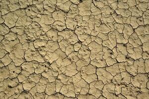 Cracked red clay and white salt on the surface in a dried riverbed in the desert of New Mexico, USA photo