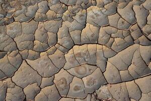 Cracked red clay and white salt on the surface in a dried riverbed in the desert of New Mexico, USA photo