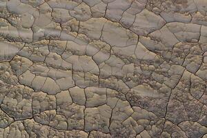 Cracked red clay and white salt on the surface in a dried riverbed in the desert of New Mexico, USA photo