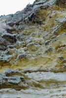 Weathering of the shell rocks of Dzhangul of the landslide coast in the western Crimea, Tarkhankut photo