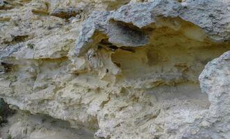 Weathering of the shell rocks of Dzhangul of the landslide coast in the western Crimea, Tarkhankut photo