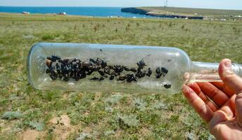 A glass bottle thrown in nature - an insect killer, an ecological problem of garbage in nature, Crimea, Tarkhankut Atlesh photo