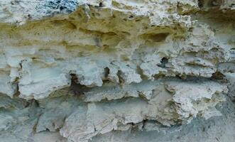 Weathering of the shell rocks of Dzhangul of the landslide coast in the western Crimea, Tarkhankut photo