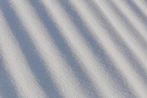 Snow lies in waves in a cold snowy winter, the play of light in straight lines photo