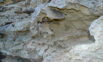 Weathering of the shell rocks of Dzhangul of the landslide coast in the western Crimea, Tarkhankut photo
