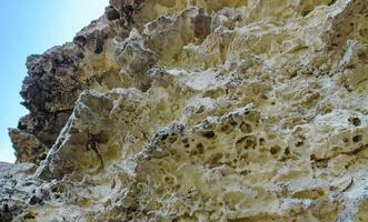 Weathering of the shell rocks of Dzhangul of the landslide coast in the western Crimea, Tarkhankut photo