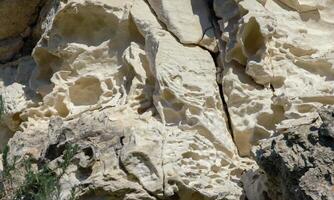 Weathering of the shell rocks of Dzhangul of the landslide coast in the western Crimea, Tarkhankut photo