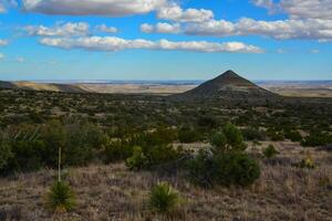 Dry tree, cacti and other desert plants on a cone-shaped landscape in Guadalupe National Park, New Mexico photo