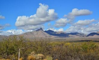 New Mexico desert landscape, high mountains in the background of the desert and drought-tolerant plants, New Mexico photo