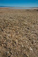 Desert landscape in New Mexico, gypsum crystals at the bottom of a dried lake, Lucero Lake photo