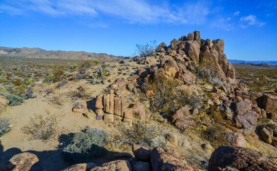 Stone desert and various desert plants in an arid area in Joshua Tree National Park photo
