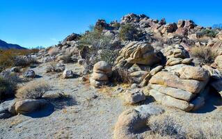Rock desert landscape in California, yucca, cacti and desert plants in the foreground photo