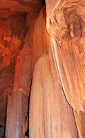 Calcite inlets, stalactites and stalagmites in large underground halls in Carlsbad Caverns NP, New Mexico photo