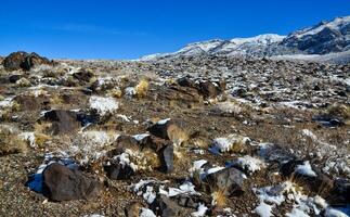 Snow in the mountains, Snow-covered mountain pass, desert plants under the snow in summer photo