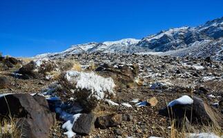 Snow in the mountains, Snow-covered mountain pass, desert plants under the snow in summer photo