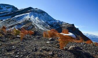 A cap of snow on desert plants on a snow-covered mountain pass. Death Valley National Park, CA photo
