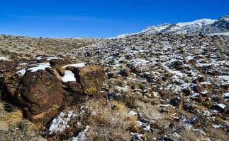 Snow in the mountains, Snow-covered mountain pass, desert plants under the snow in summer photo
