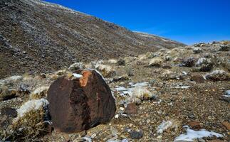 Snow in the mountains, Snow-covered mountain pass, desert plants under the snow in summer photo