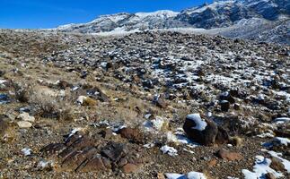 Snow in the mountains, Snow-covered mountain pass, desert plants under the snow in summer photo