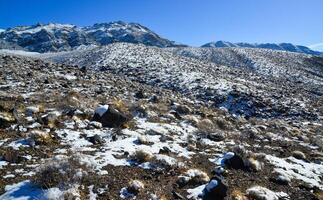 Snow in the mountains, Snow-covered mountain pass, desert plants under the snow in summer photo