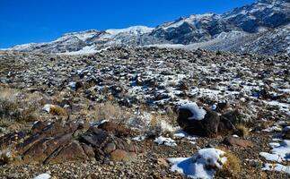 Snow in the mountains, Snow-covered mountain pass, desert plants under the snow in summer photo