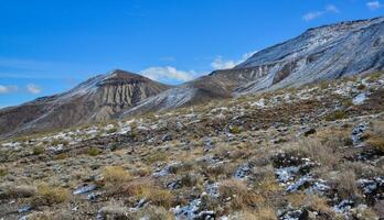Snow in the mountains, Snow-covered mountain pass, desert plants under the snow in summer photo
