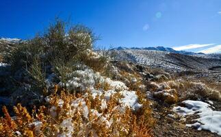Snow in the mountains, Snow-covered mountain pass, desert plants under the snow in summer photo