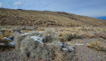 Snow in the mountains, Snow-covered mountain pass, desert plants under the snow in summer photo