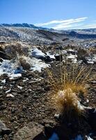 Snow in the mountains, Snow-covered mountain pass, desert plants under the snow in summer photo