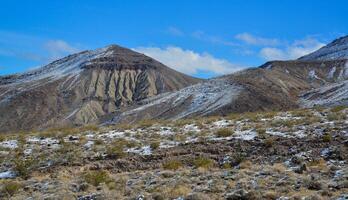 Snow in the mountains, Snow-covered mountain pass, desert plants under the snow in summer photo